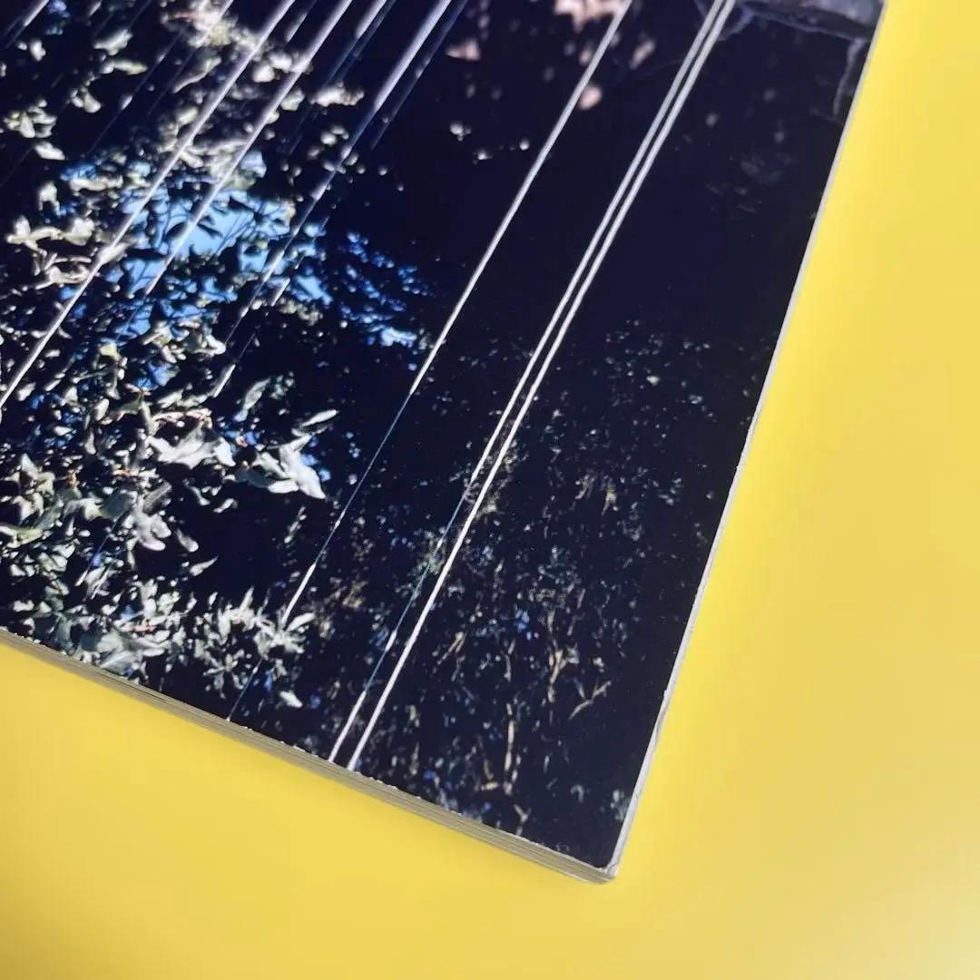 写真集「Synthetic Voices」マーク・ボスウィック 1998年 - メルカリ