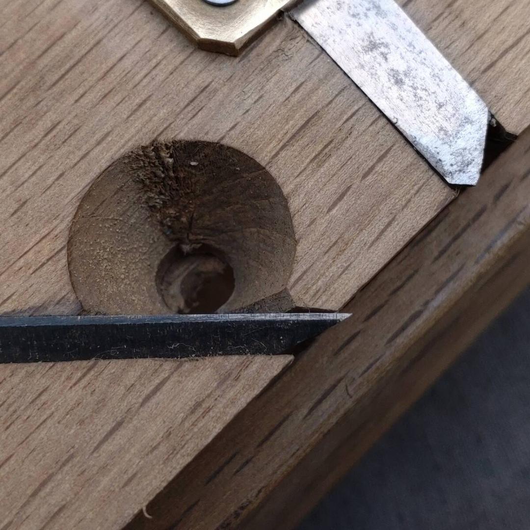 アリ作里