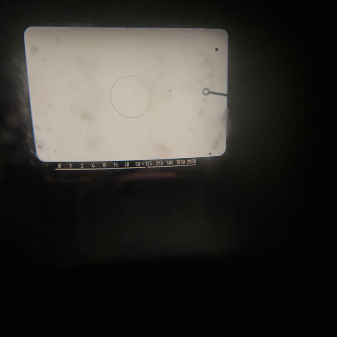 LEICAFLEX SL 一眼レフカメラ