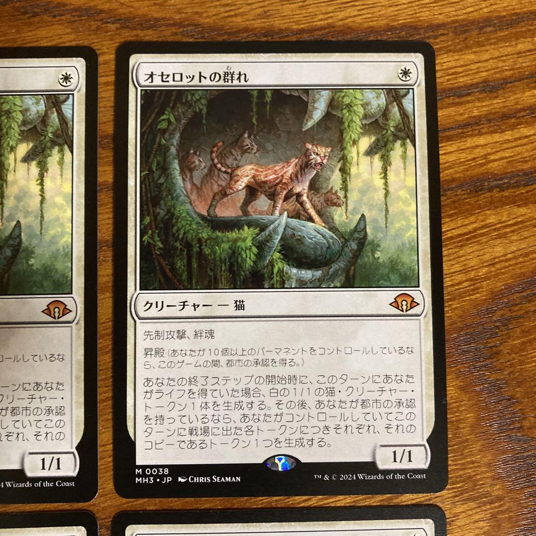 MTG オセロットの群れ　4枚セット
