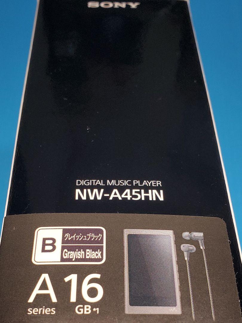 SONY WALKMAN NW-A45HN B【IER-NW500N付属】 - メルカリ