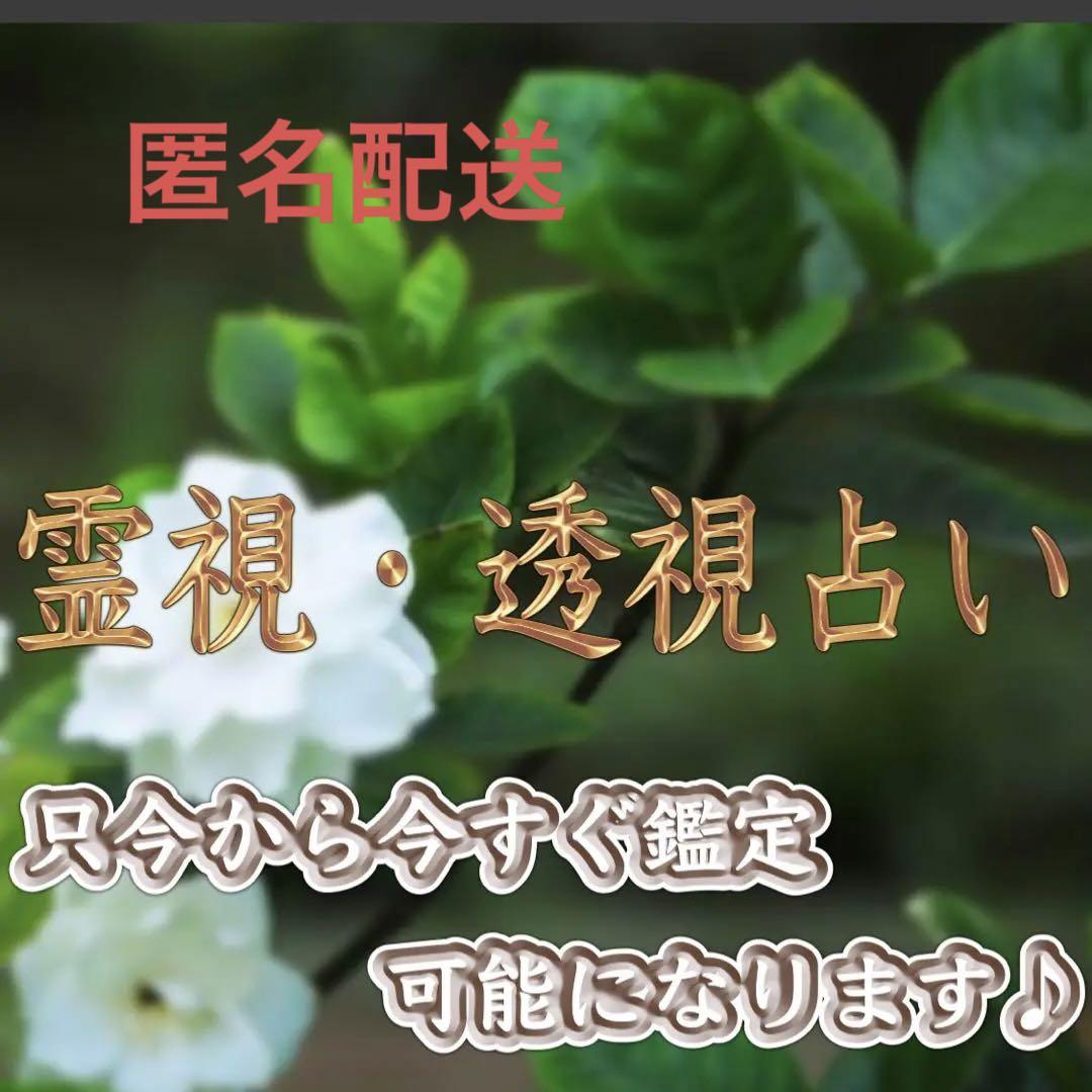 霊視占い 透視鑑定 ヒーリング □日本正規販売店□ ハンドメイド ...