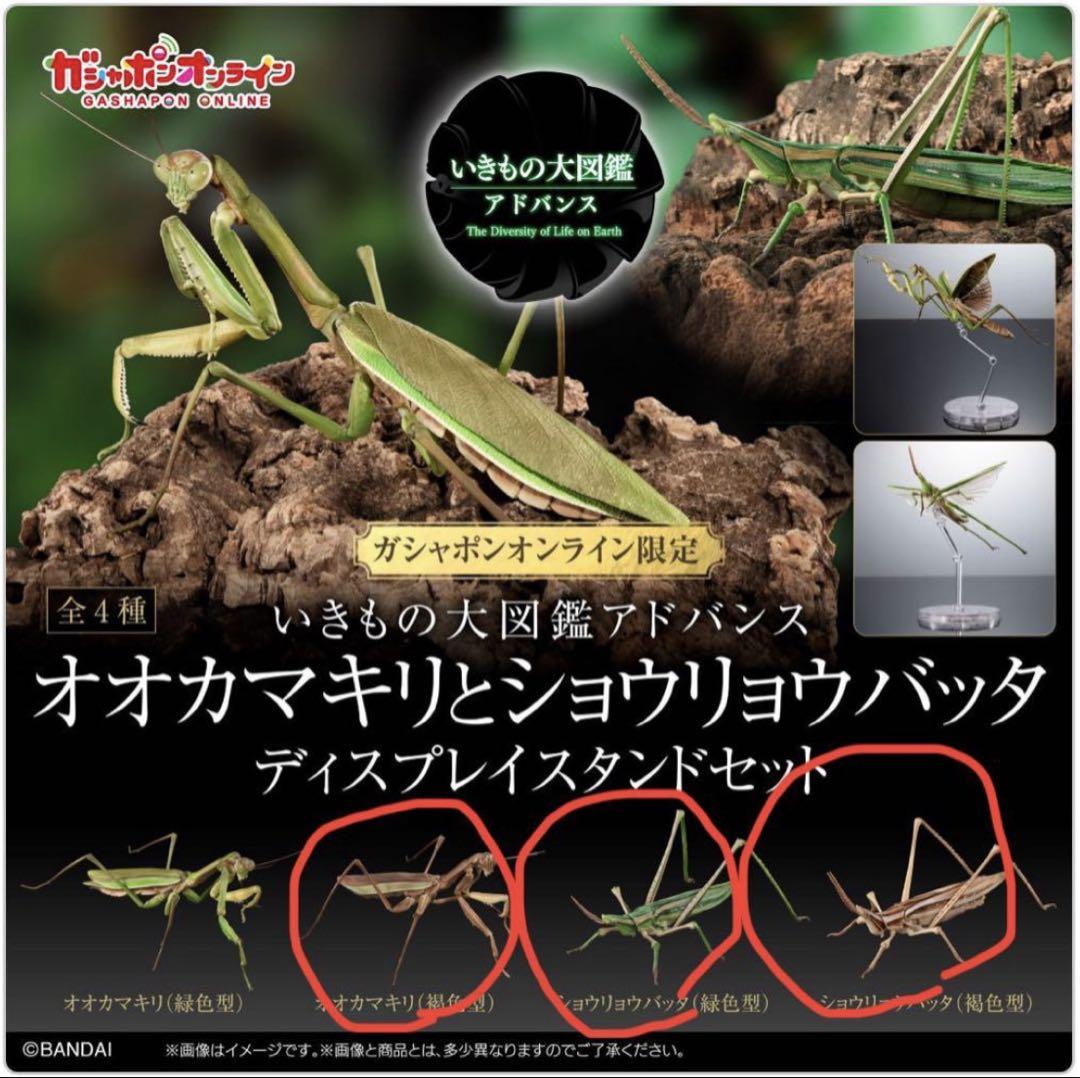 いきもの大図鑑　オオカマキリとショウリョウバッタ　オンライン版