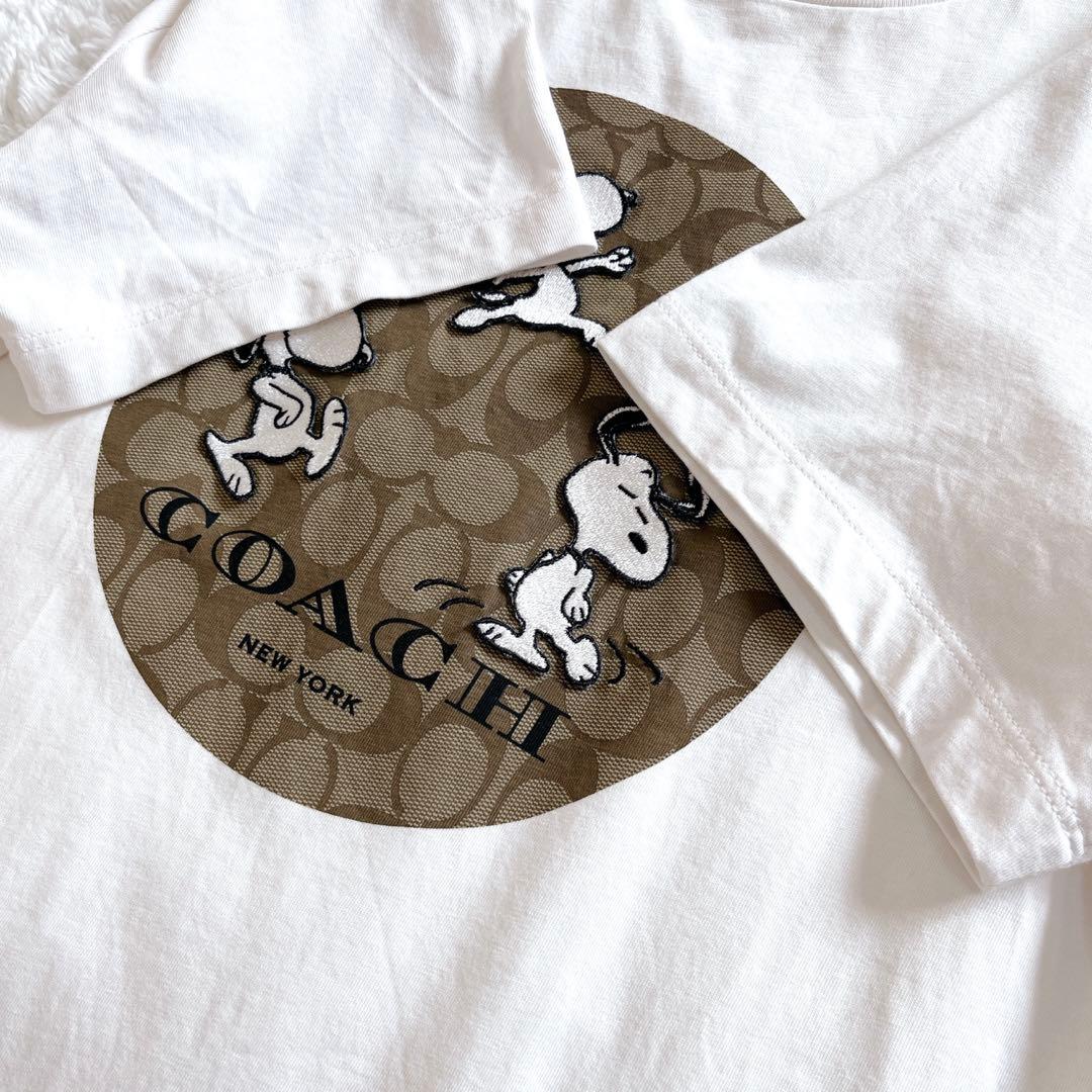 極美品✨COACH X PEANUTS スヌーピー シグネチャー Tシャツ M 安い