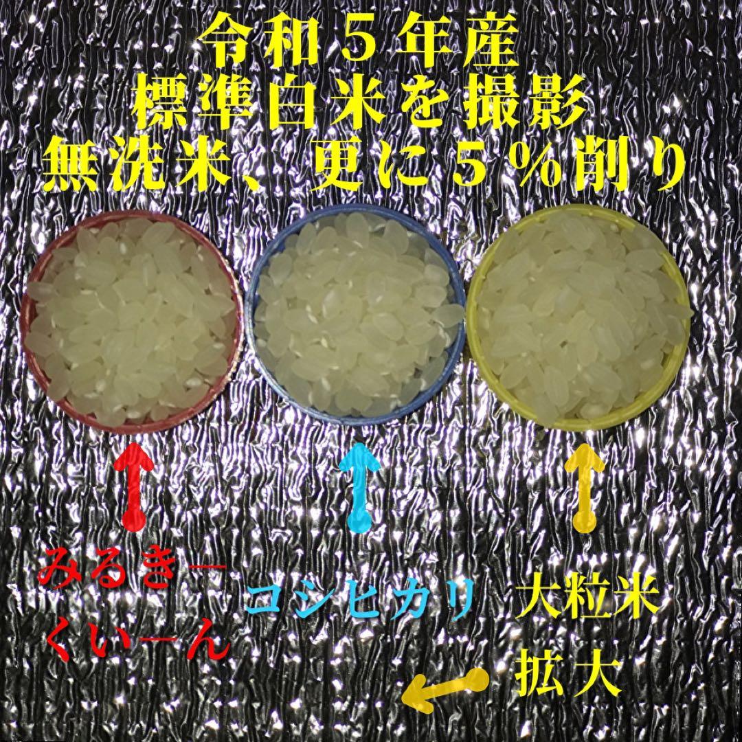 【超希少】棚田米　酵素米　大粒米　玄米 20Kg「標準白米に精米」