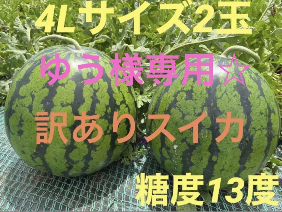 訳あり　大玉スイカ　4L 2玉
