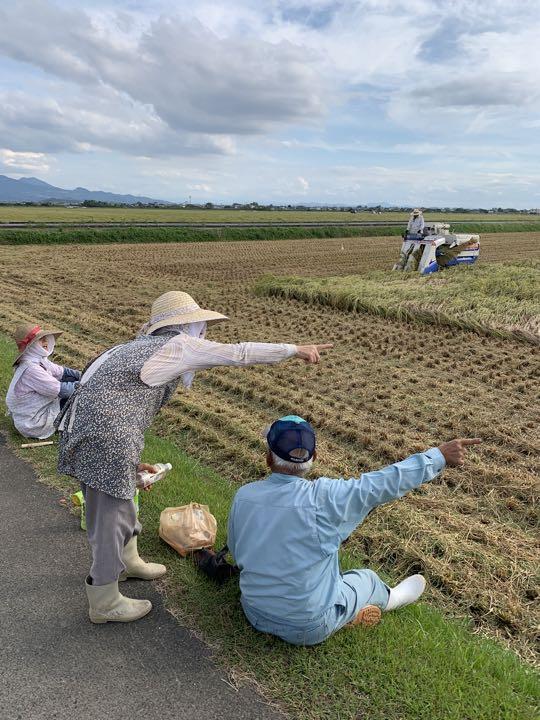 ⚠️数量限定セール⚠️☆熊本県北産森のくまさん20kg☆カドミウム ...