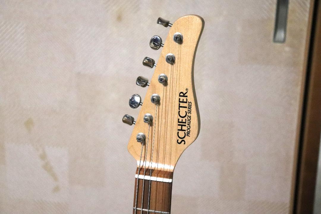 ギター SCHECTER PS-S-PT-TH/VT/PF