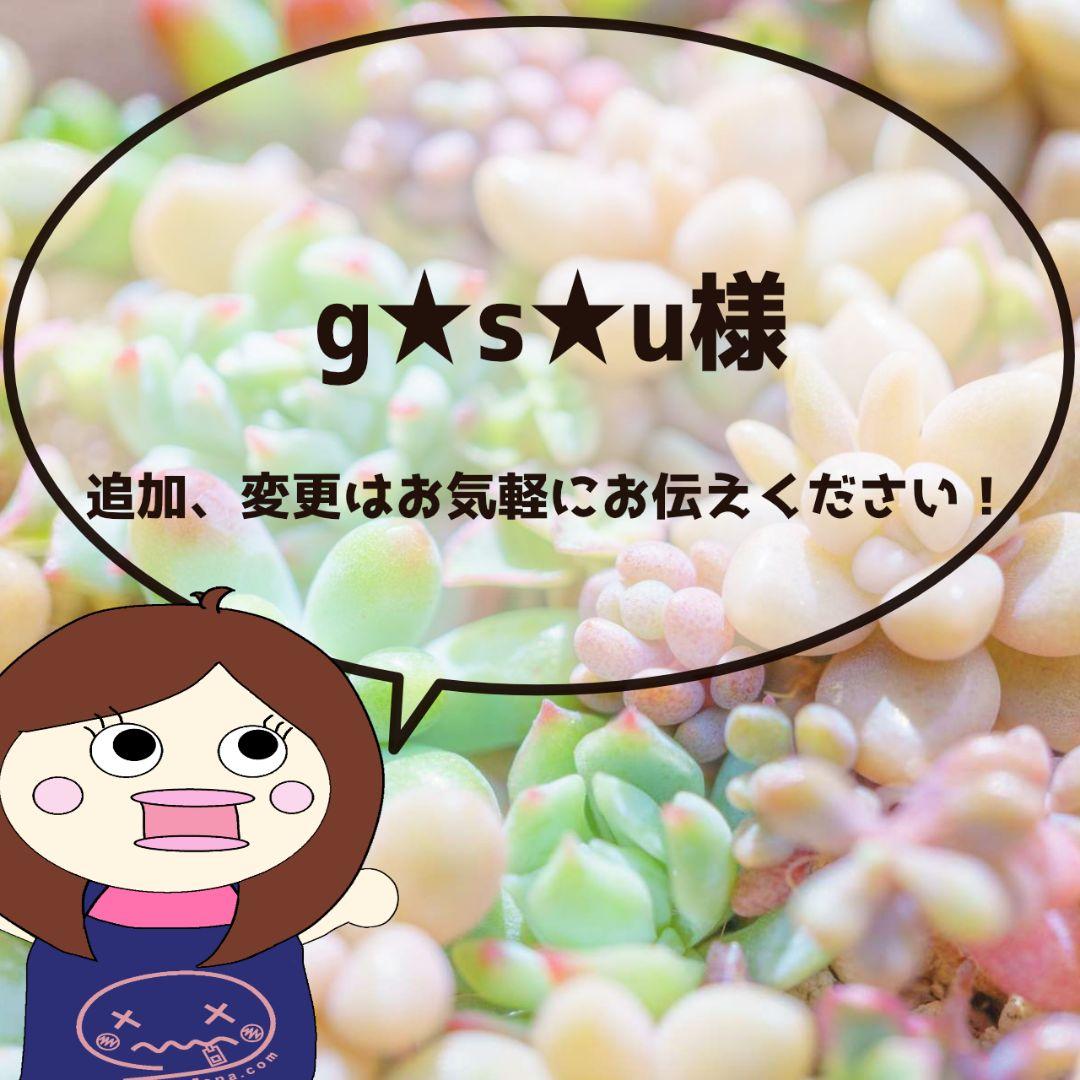 メルカリ便◎g★s★u様