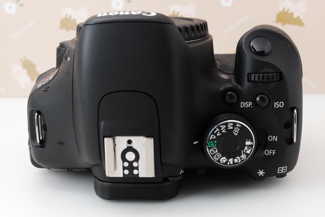 美品❤️ショット極少❤️Canon eos Kiss X5❤️スマホ転送❤️高性能カメラ