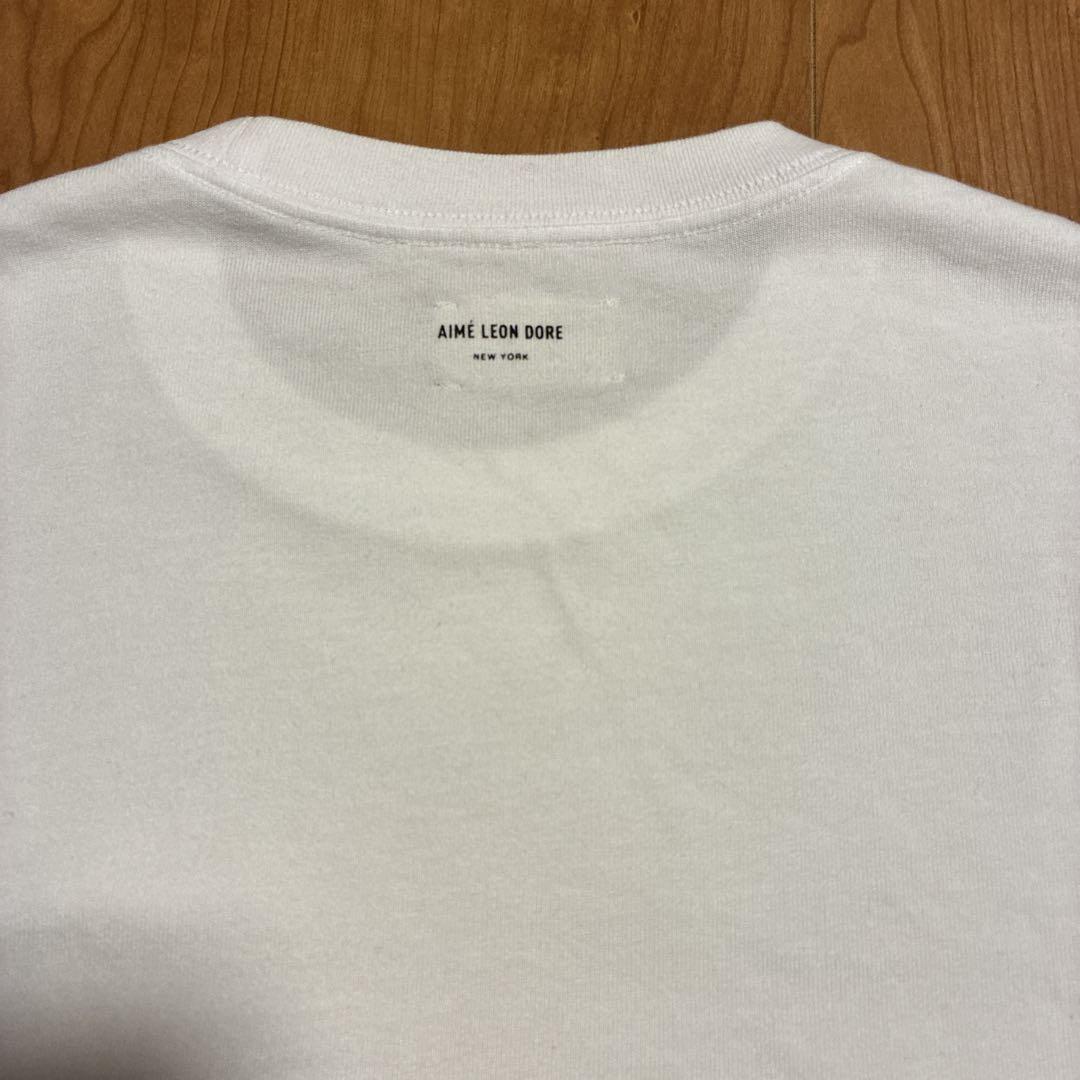 AIMÉ LEON DORE 風景プリント Tシャツ メンズ