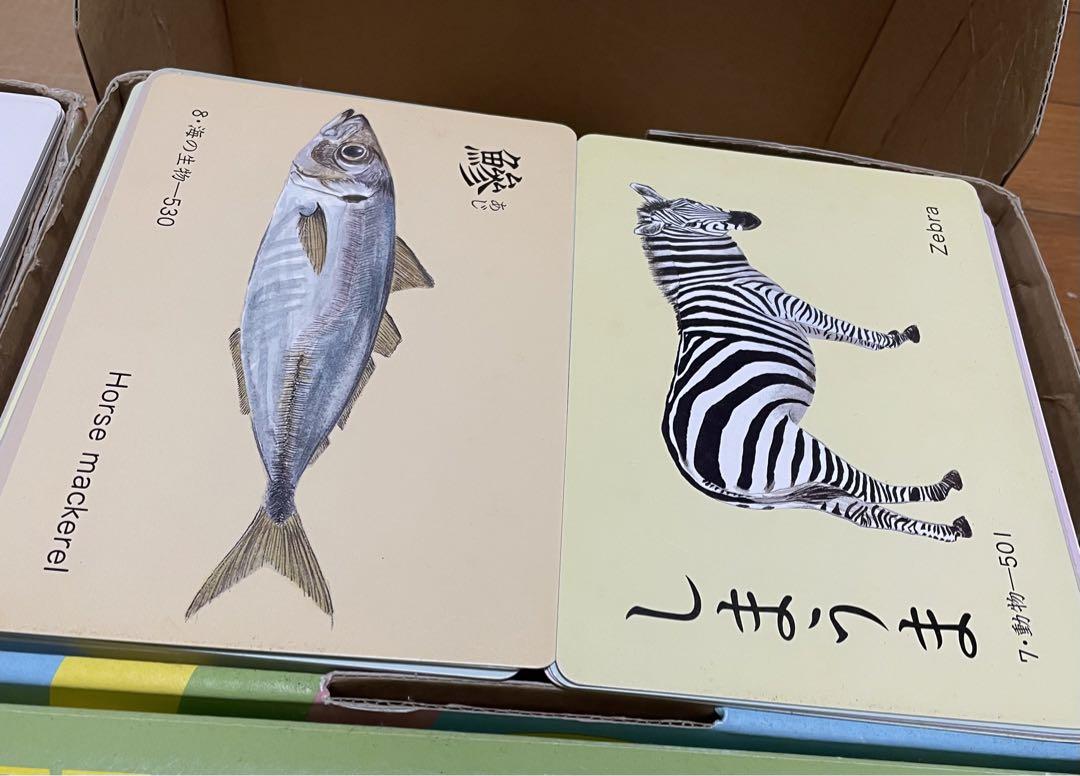 家庭保育園　たのしい絵カード 1500 絵カード　フラッシュカード
