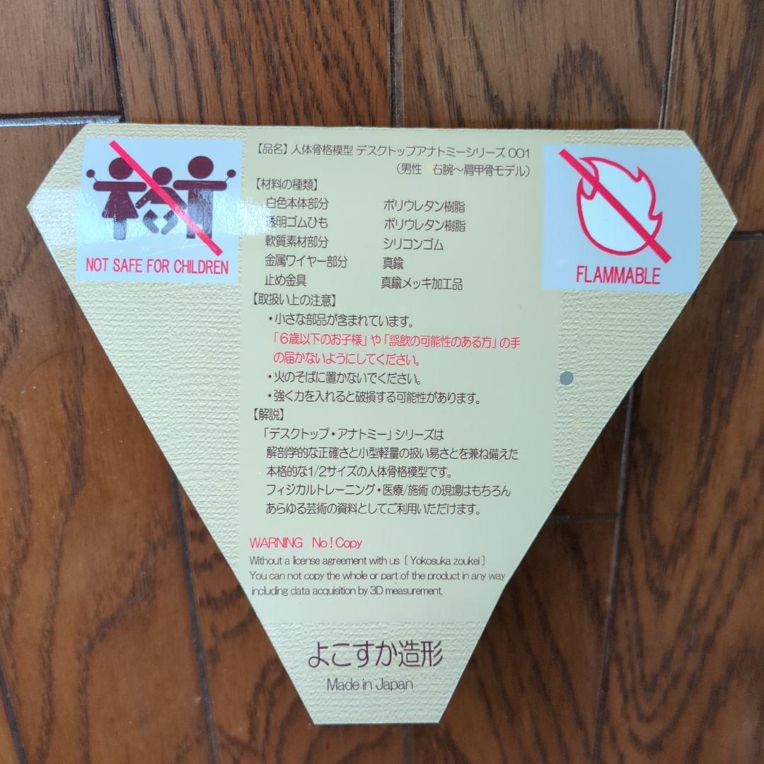 人体骨格模型 右腕