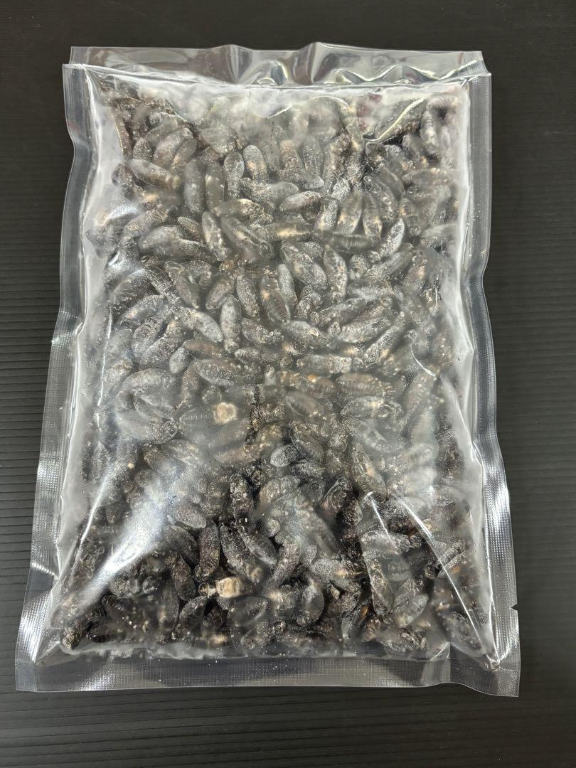 【お気にいる】 清潔コオロギ1.1kg 冷凍コオロギ クロコオロギ MLサイズ 爬虫類・両生類のエサ