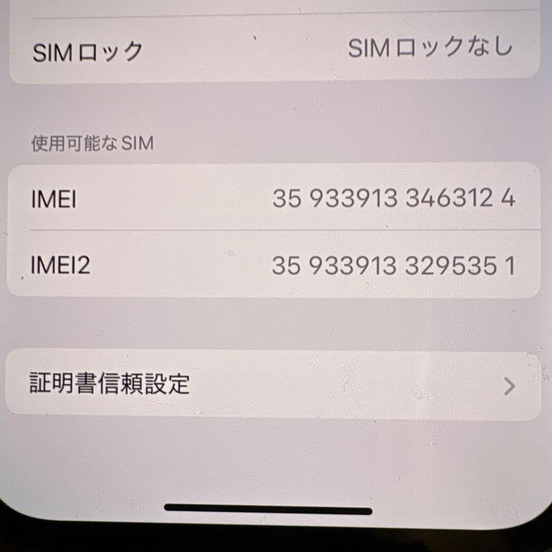 iPhone 13 Pro 256GB シエラブルー　マグネット対応ケース付