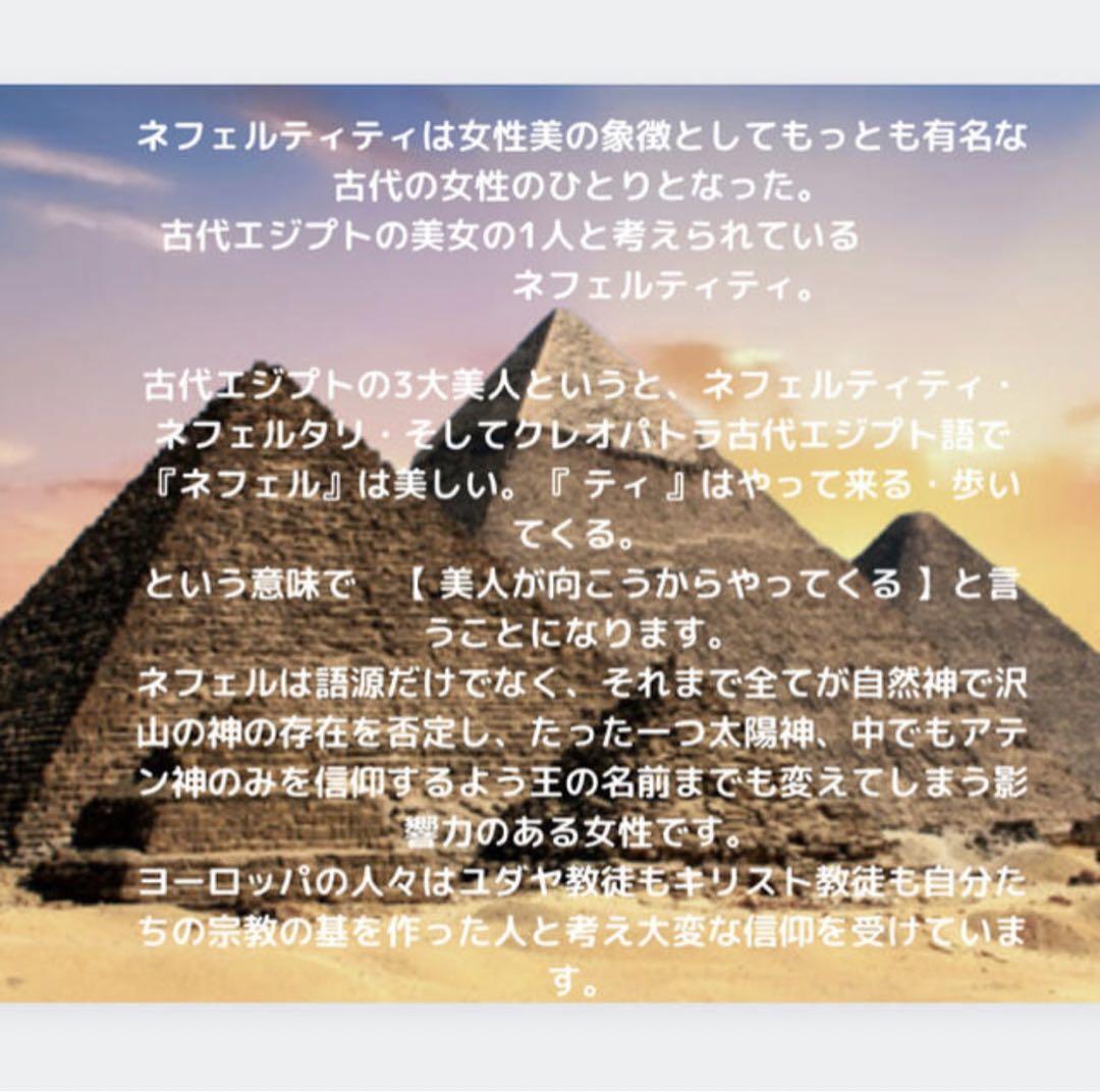 ネフェルシャンプー&トリートメント✨　新品未使用品　　超美品✨大人気シリーズ❕✨ ネフェルシャンプー&トリートメント✨ 新品未使用品 超美品