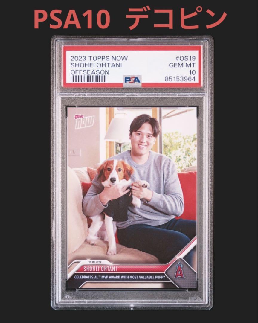 Topps now MLB MVP大谷翔平 犬 カード 40枚セット Topps now MLB MVP大谷翔平 犬 カード 40枚セット