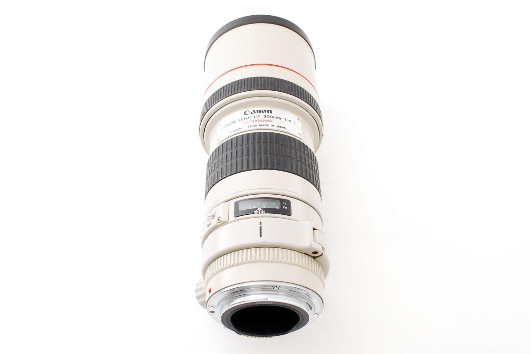 人気新作 大人気 CANON EF 300mm F4 L ULTRASONIC レンズ ZDKnv-m41760261658 特価超激得