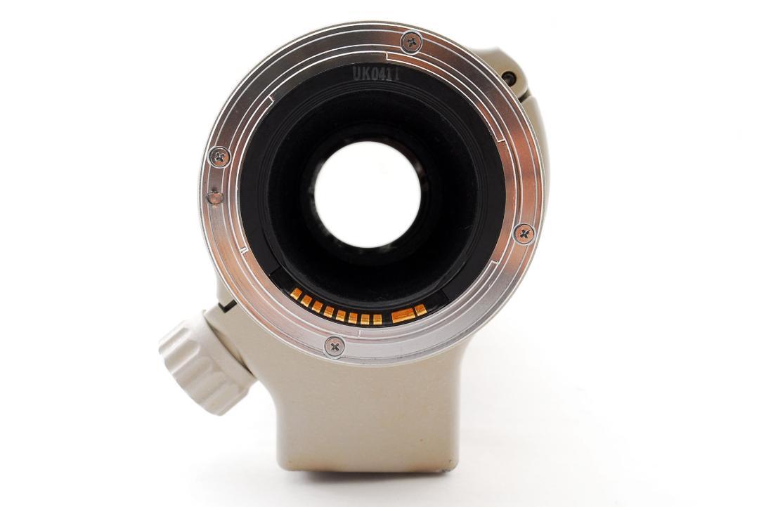 人気新作 大人気 CANON EF 300mm F4 L ULTRASONIC レンズ ZDKnv-m41760261658 特価超激得