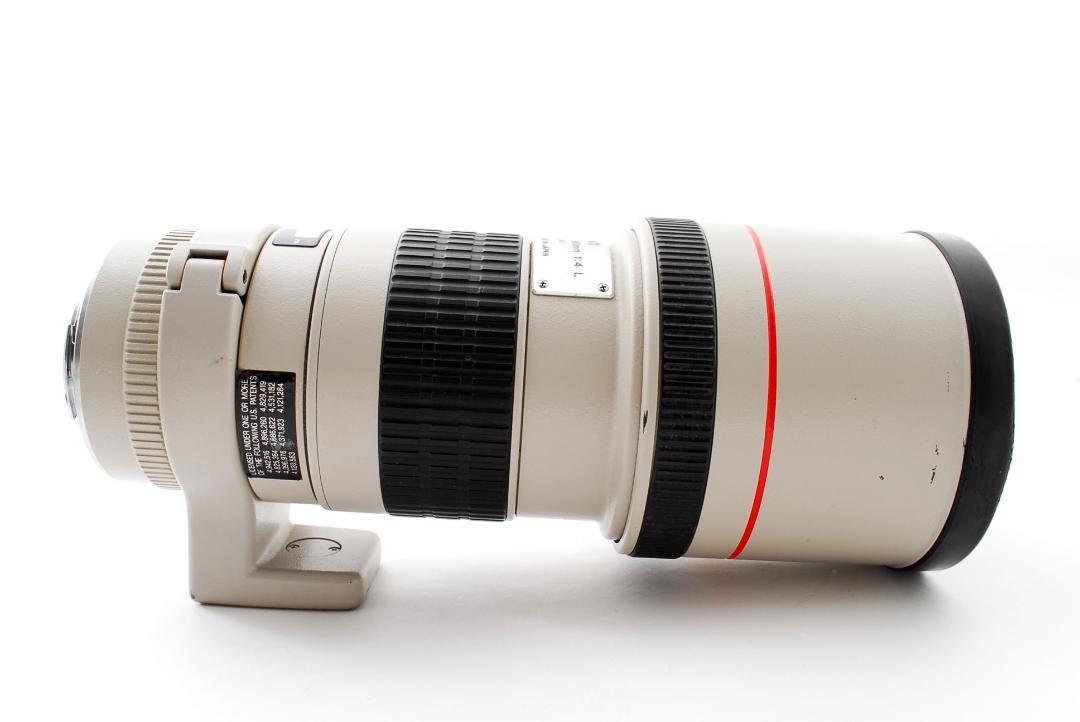 人気新作 大人気 CANON EF 300mm F4 L ULTRASONIC レンズ ZDKnv-m41760261658 特価超激得