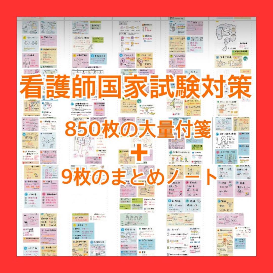 付箋ノート3冊まとめセット（250枚＋160枚＋120枚）看護師国家試験対策 付箋ノート3冊まとめセット（250枚＋160枚＋120枚）看護師国家