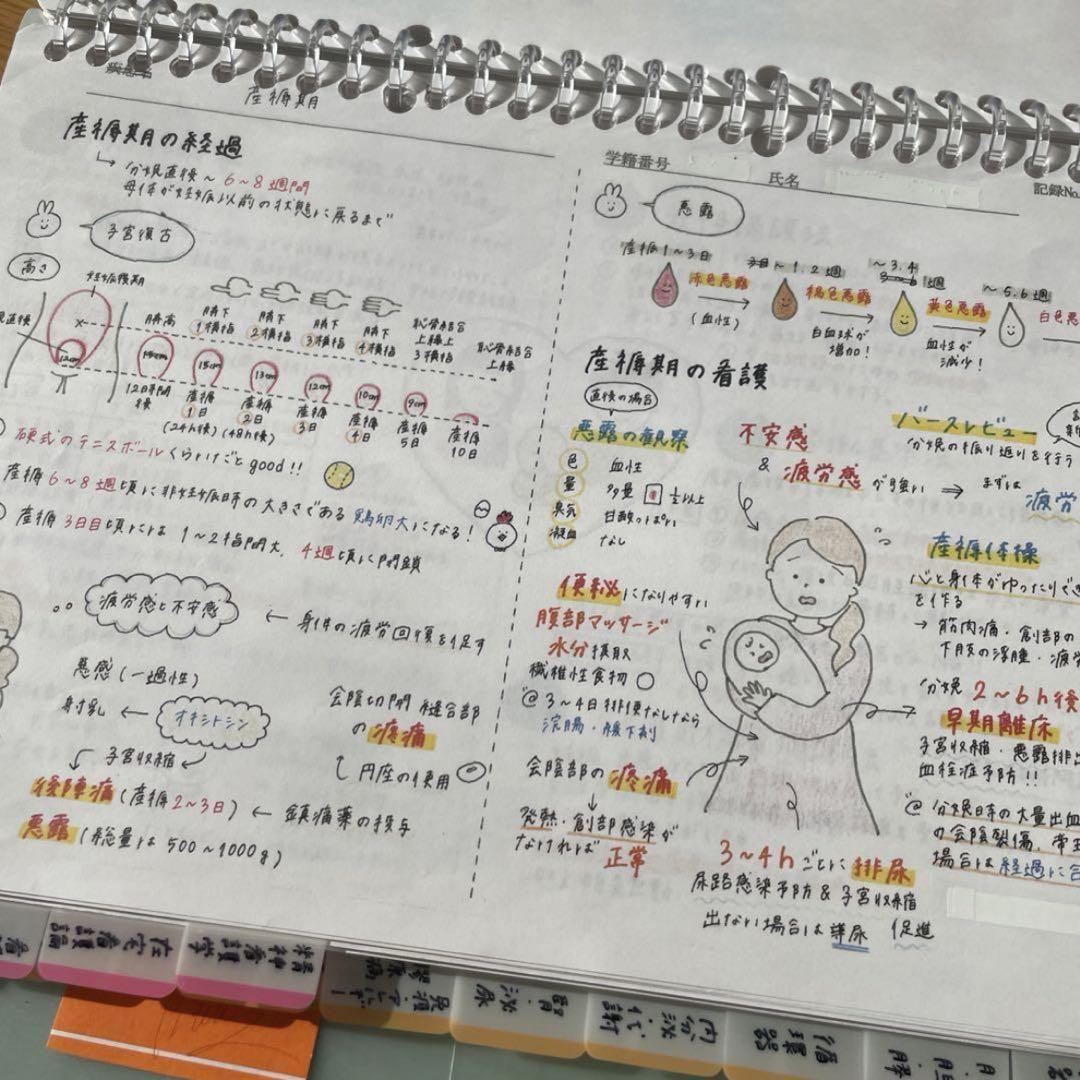 付箋ノート3冊まとめセット（250枚＋160枚＋120枚）看護師国家試験対策 付箋ノート3冊まとめセット（250枚＋160枚＋120枚）看護師国家