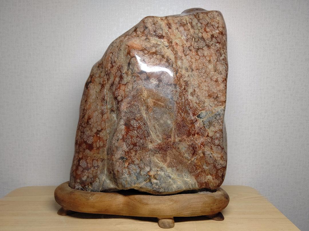 最安値】 花紋石 12.2kg 錦石 原石 鑑賞石 水石 赤石 紋石 自然石