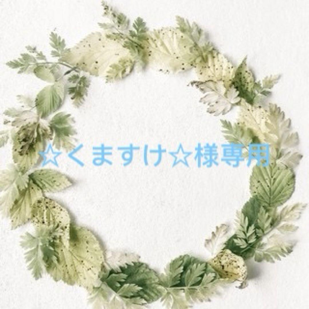 ☆くますけ☆様専用