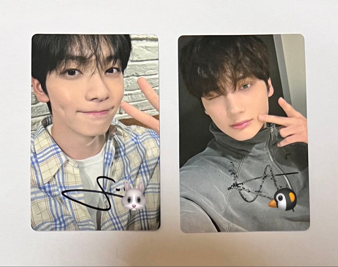 txt トゥバ　together スビン　ヒュニンカイ　セット