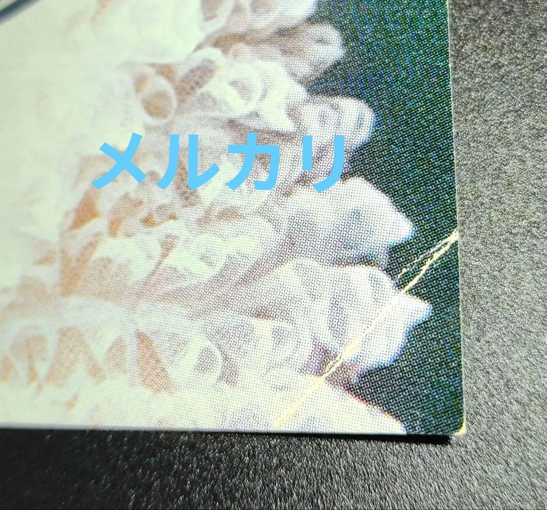 超希少 中森明菜デビューシングルジャケット日付入り直筆サイン