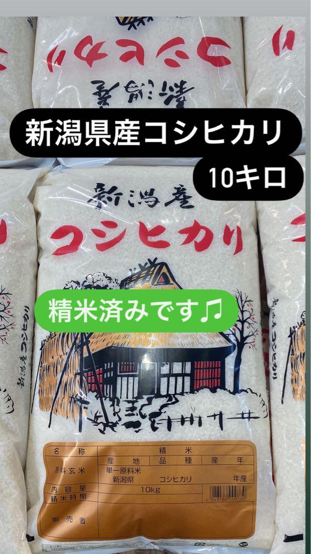 新潟県産　コシヒカリ　10キロ　新米
