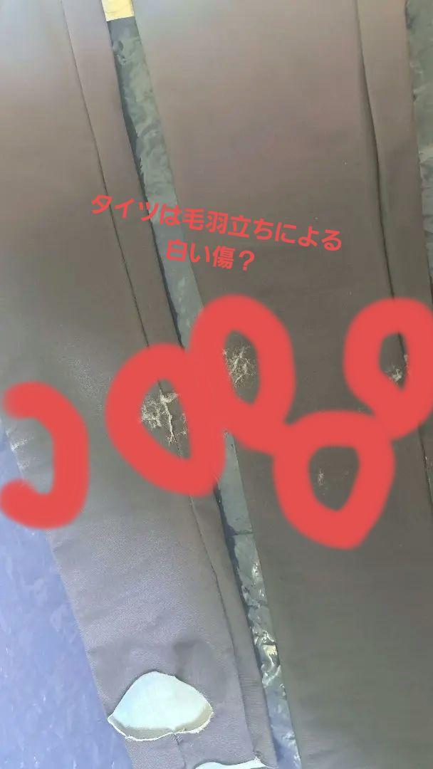 次元依 + 三分妄想　スタレ　ホタル　コスプレ　フルセット　※傷あり
