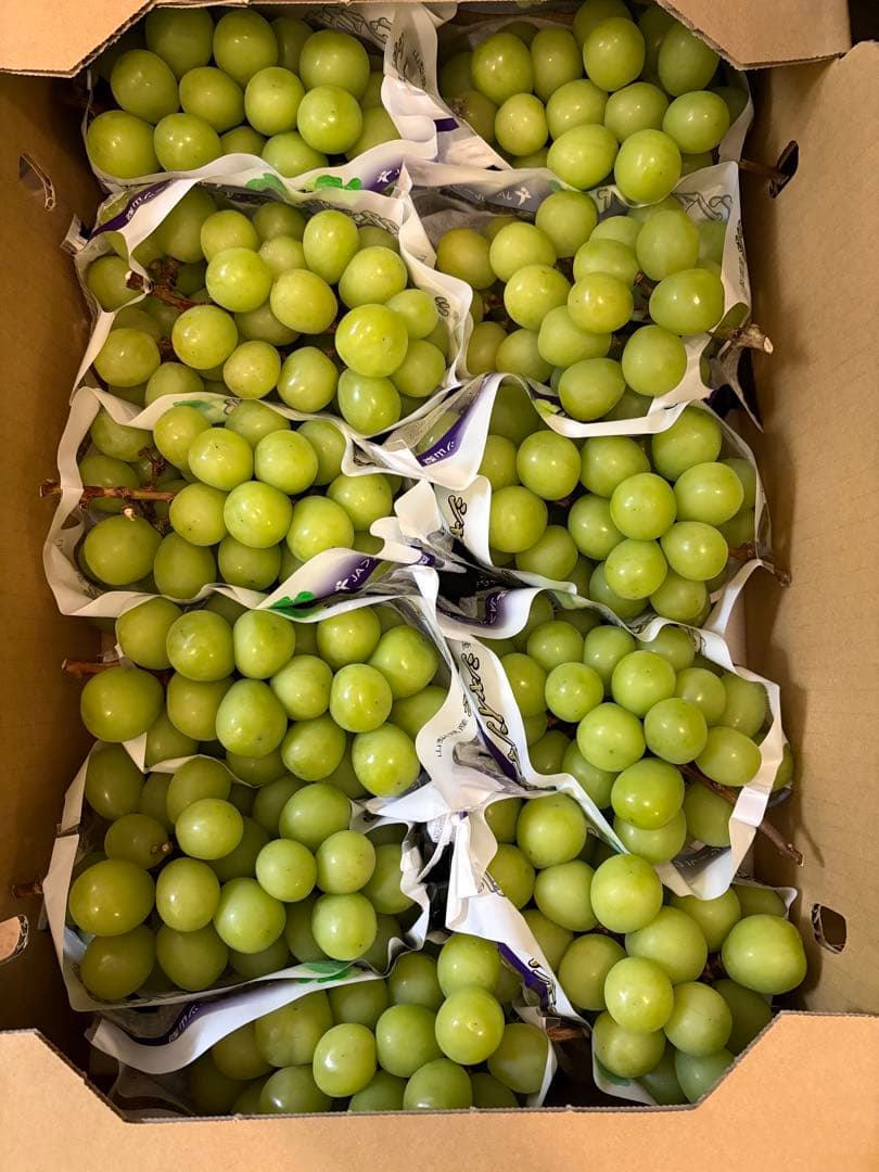 山梨県産　シャインマスカット　11房セット