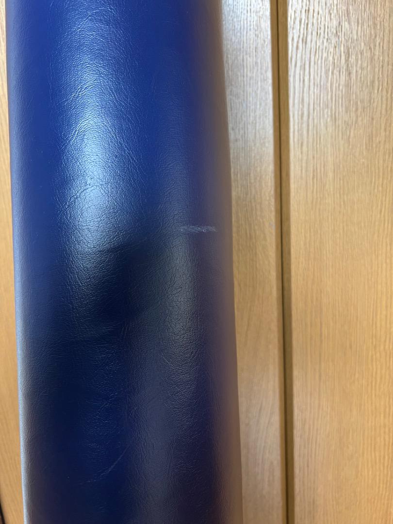 ★LPN純正品 ストレッチポールEX ネイビー