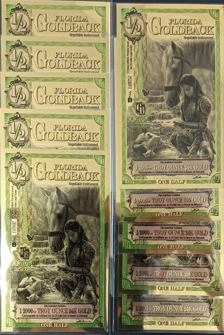 １０枚セット☆☆フロリダ純金地域ノート1/2GOLDBACK１５.５５mg☆☆