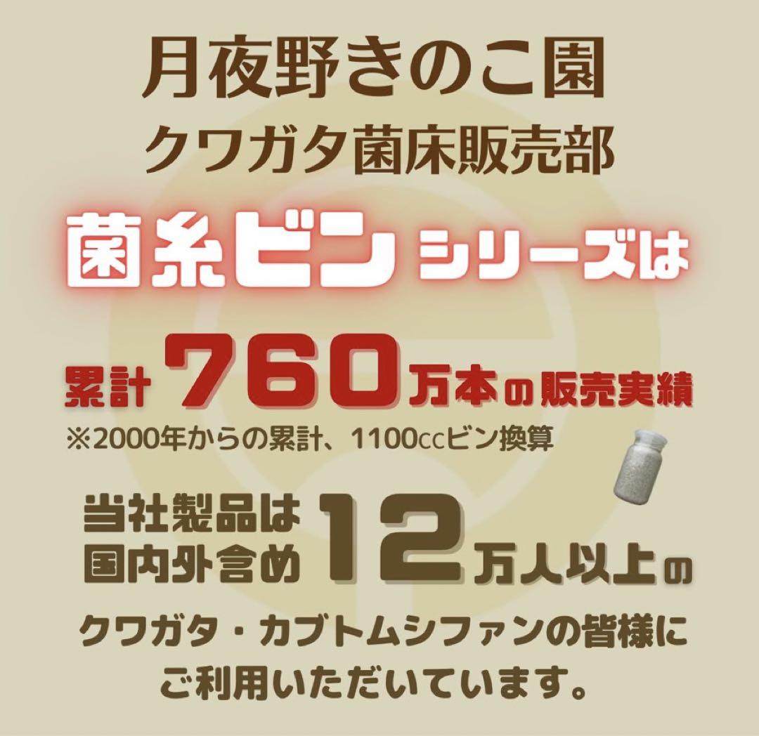 11本　月夜野きのこ園　菌糸ボトル　菌糸ビン　クワガタ幼虫　オオクワガタ