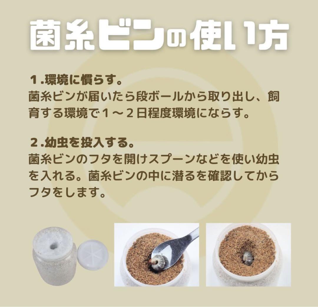 11本　月夜野きのこ園　菌糸ボトル　菌糸ビン　クワガタ幼虫　オオクワガタ