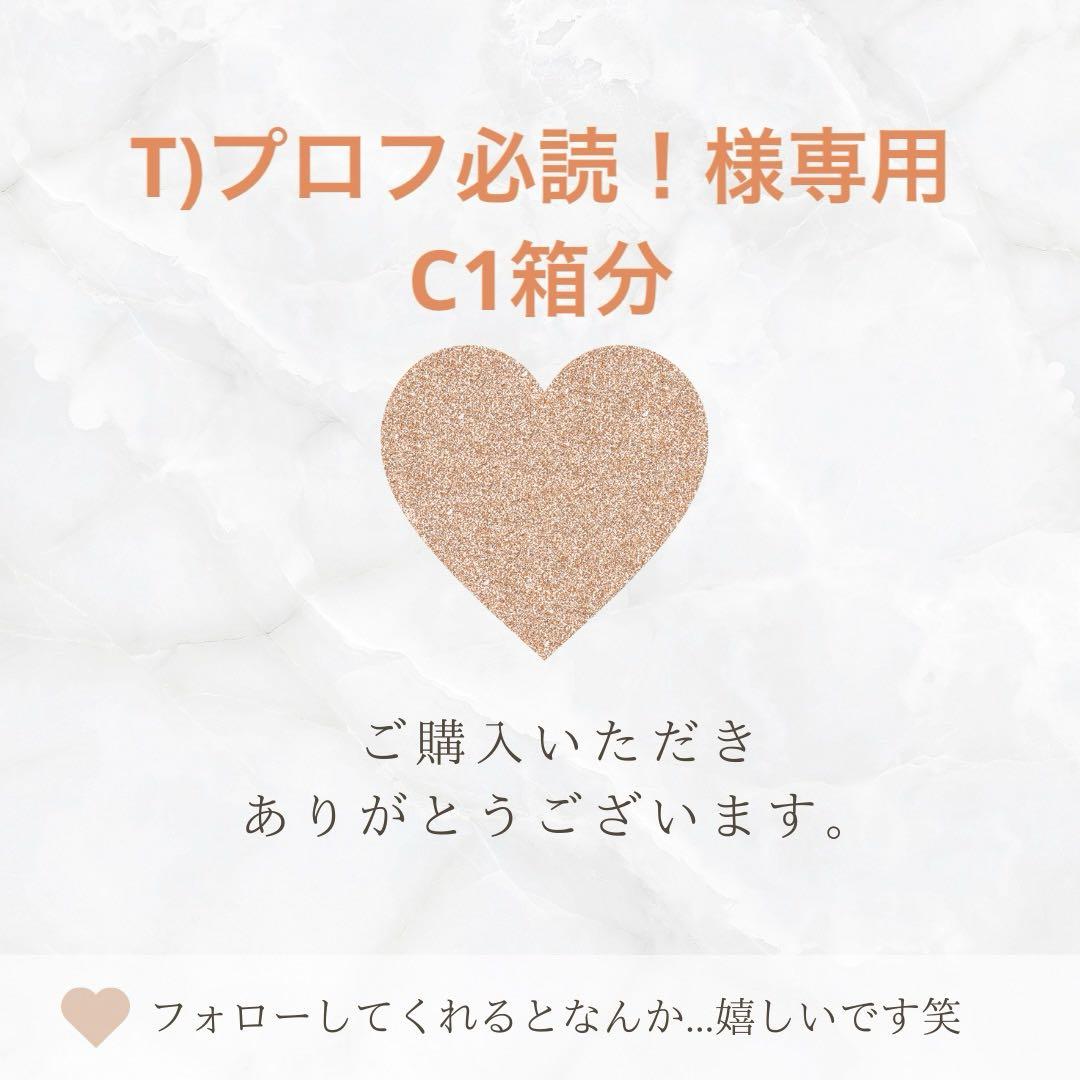 T)プロフ必読！様専用