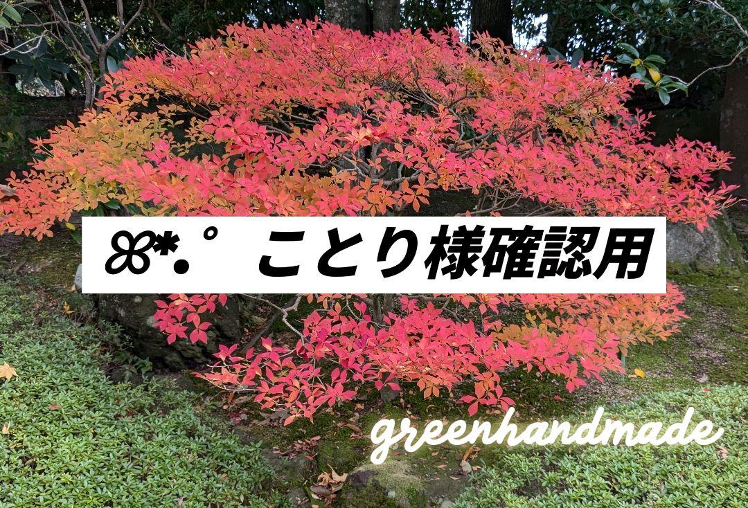 リトルウッズ確認出品