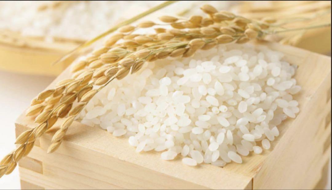 今だけ限定価格！島根県産 つや姫 5kg×3袋(15kg)！精米、ブランド米