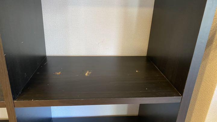 マスタイプ 送料込み カラーボックス AuljB-m41952283024 9マスオープン棚 きません
