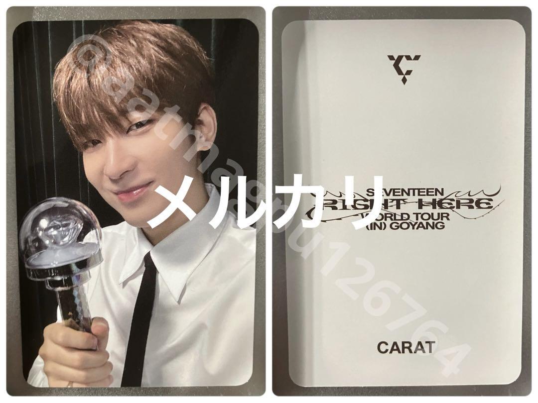 seventeen RIGHT HERE CARAT ZONE トレカ ウォヌ