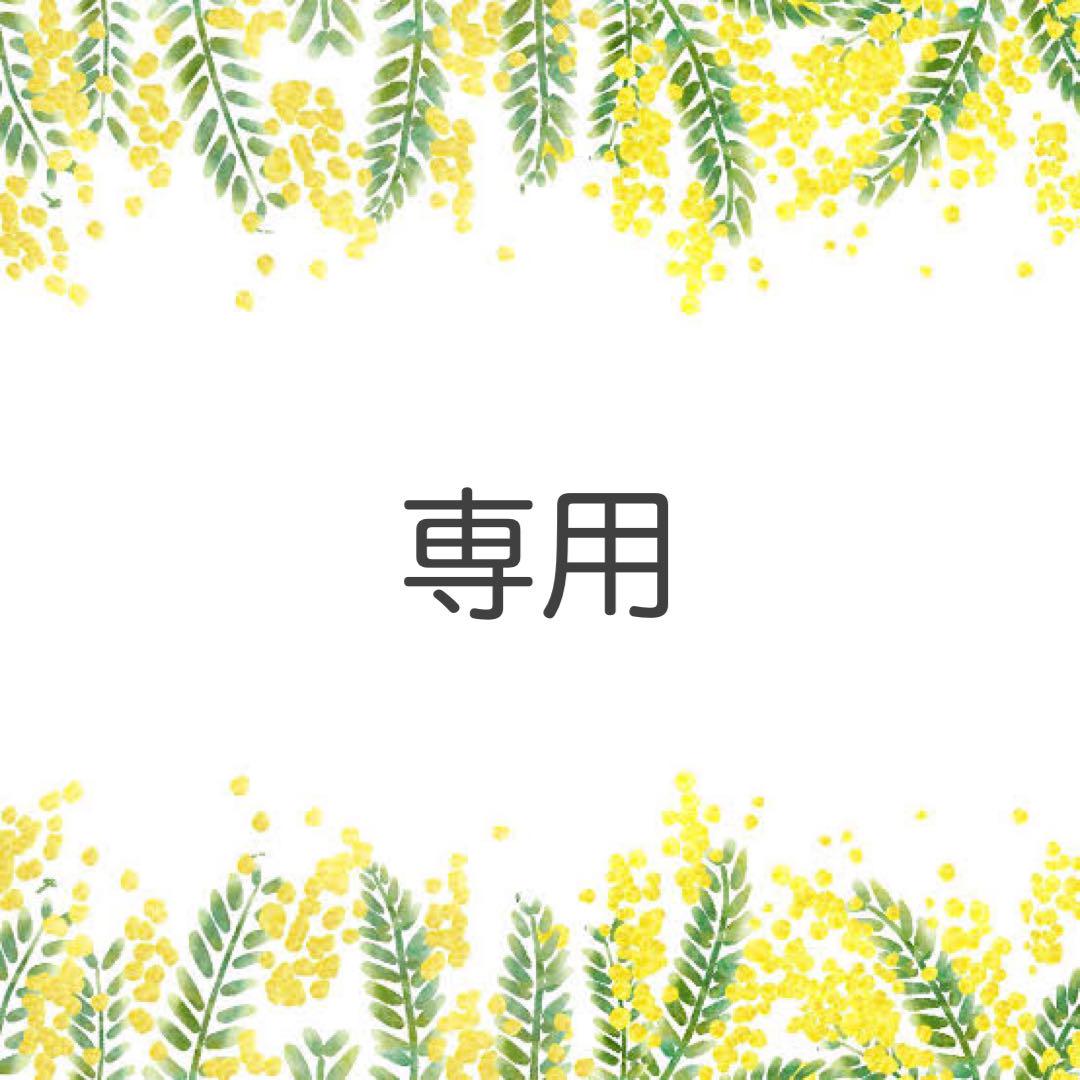 *ぴィ★様専用*