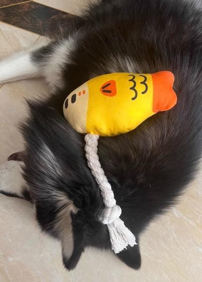 ぬいぐるみの噛む遊びおもちゃ 魚の形をした歯を磨くおもちゃ 退屈を和らげる