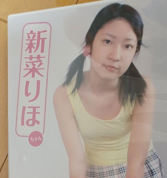 新菜りほ　デビュー