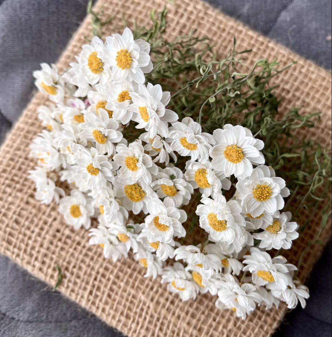 花かんざし