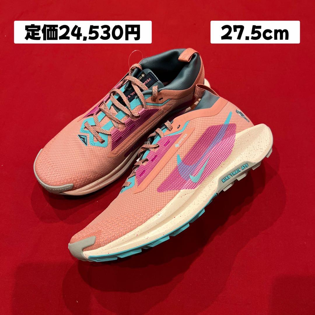 NIKE PEGASUS TRAIL 5 　ペガサス トレイル 5　ゴアテックス