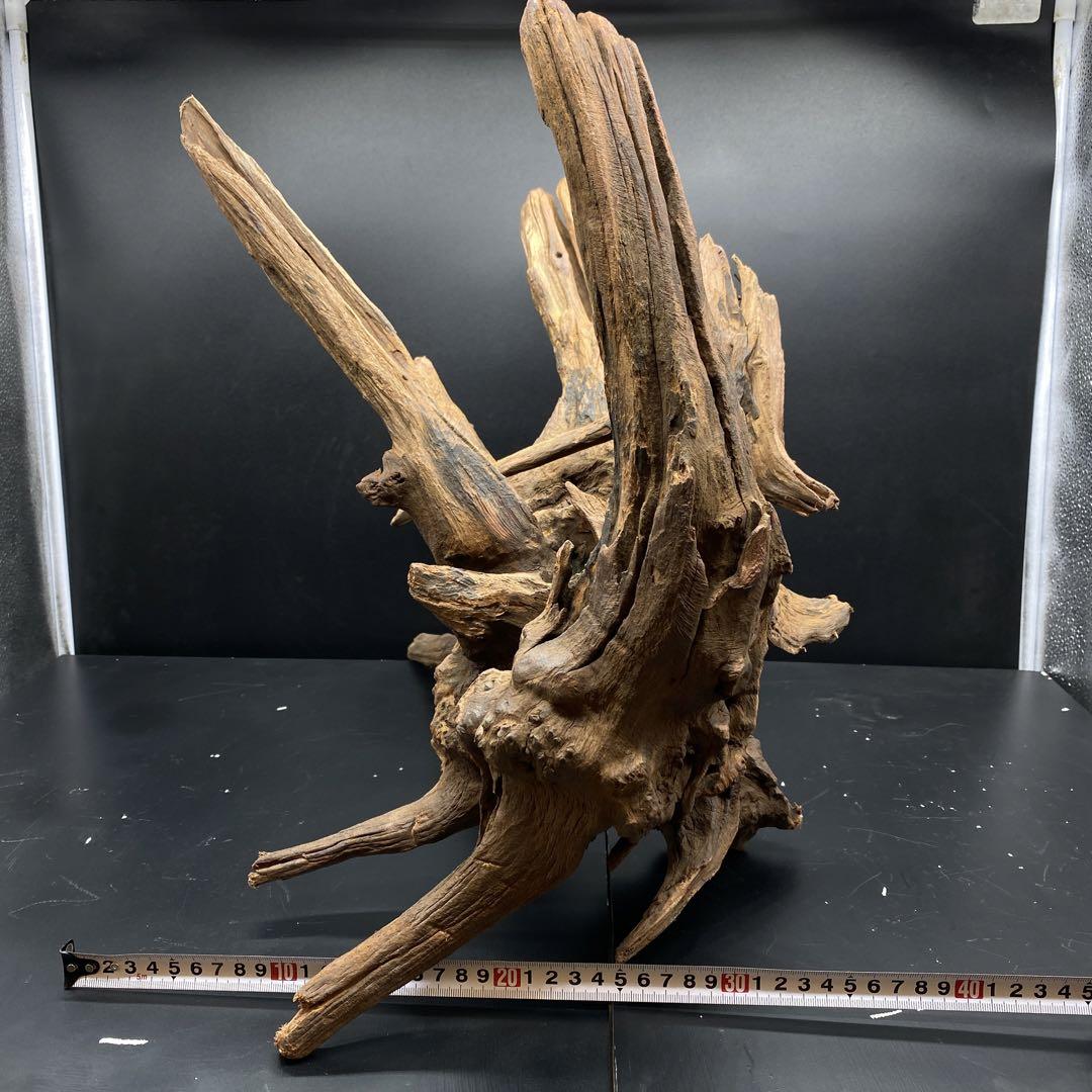 MRW-5517 特大赤系流木　一点物　アクアリウム