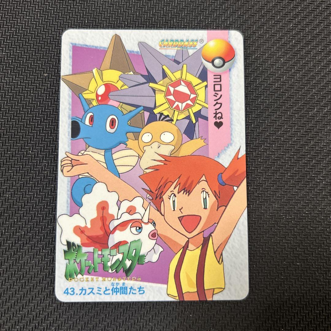 No.43 ポケットモンスター ポケモン 初期 カードダス アニメ
