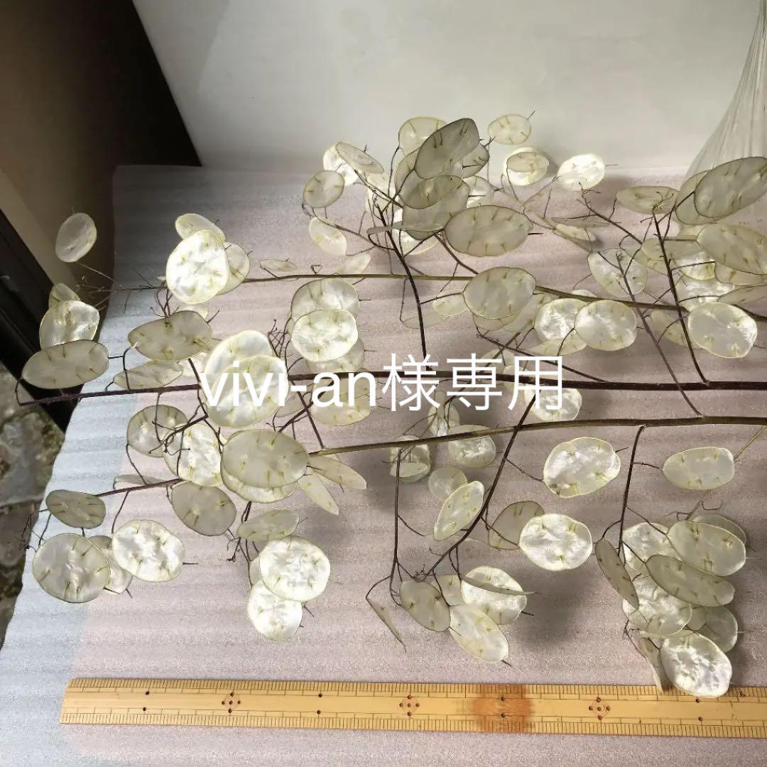 【★大感謝セール】 VIVI様専用ページ - シャンプー